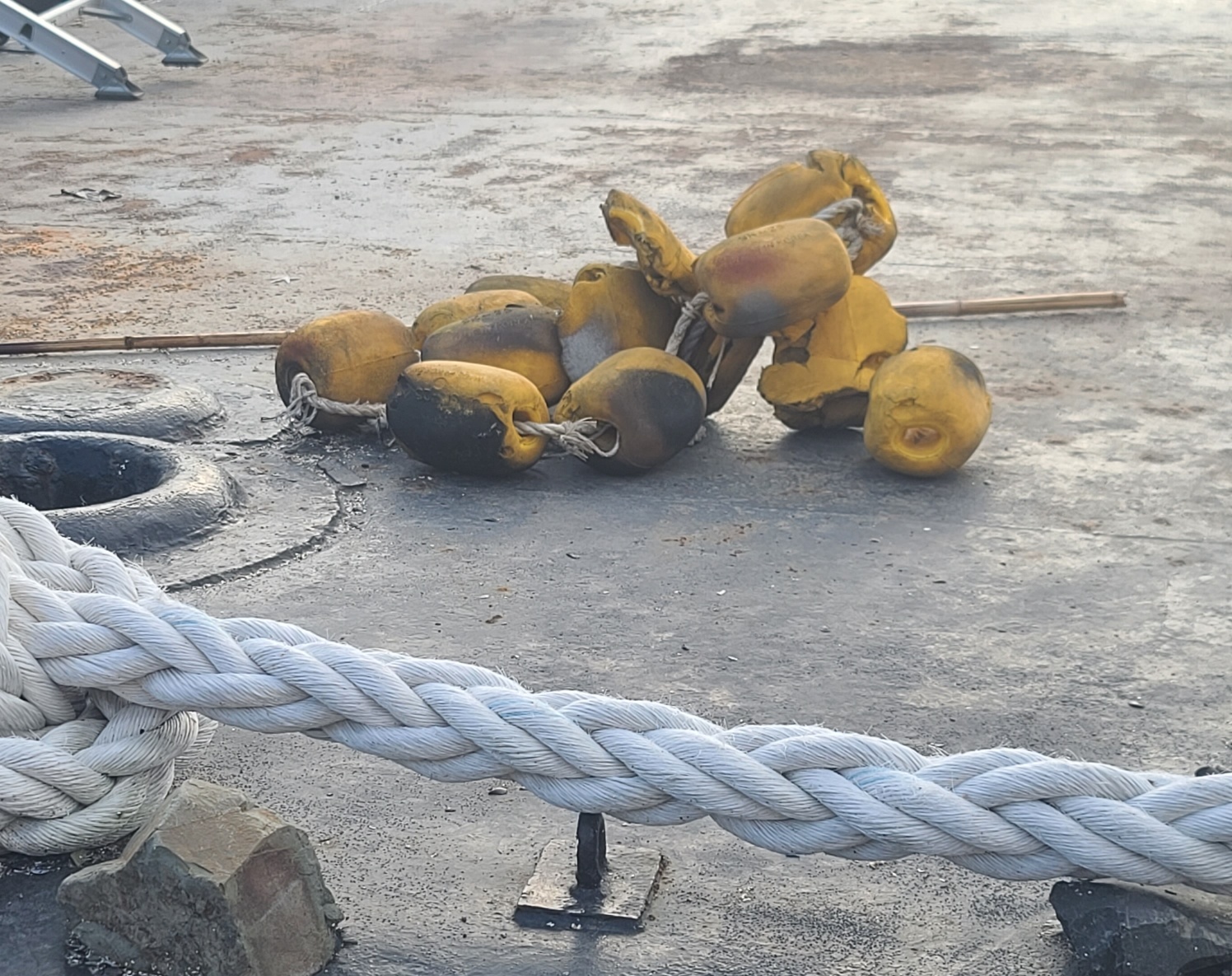 8회차 해양환경 참여활동 인증의 이미지